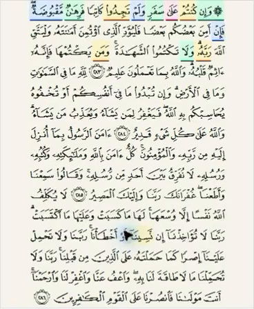 Actual Qur’an page 49 with word-level teacher markings, extracted from the supplied HifzFlow demonstration